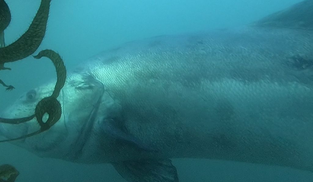 5ea8baf6-56ef-4b94-a93c-a450ac81f4f0