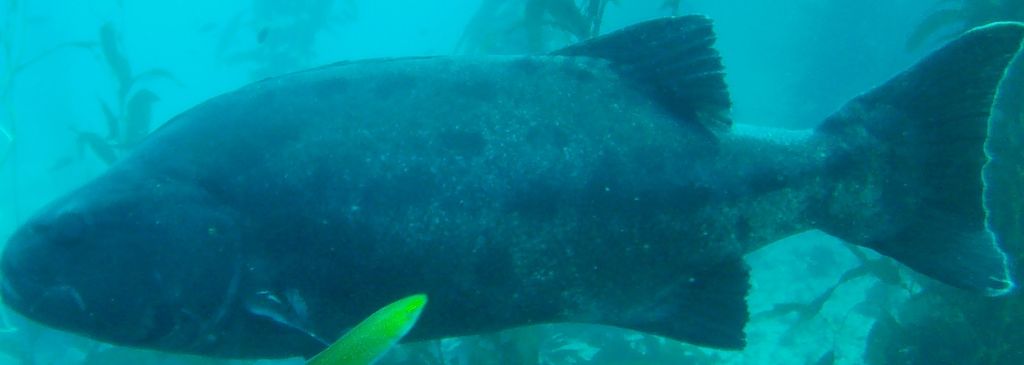 bf46db56-65c6-4c4c-9191-cd1c4d9a3e7b