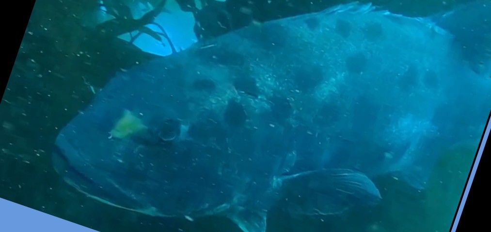 7ecf4934-218c-4b9f-adb3-3637f8b8e4d7