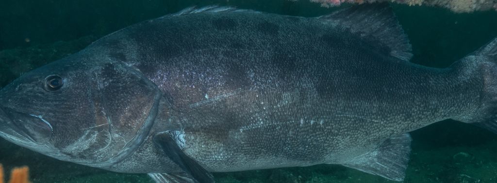 dea3ed5e-26b0-4415-b222-f50a7a884ef3