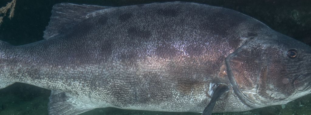 dea3ed5e-26b0-4415-b222-f50a7a884ef3