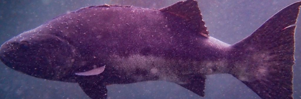 29ac72ed-8b49-4174-8c7f-8d8cd267cbec