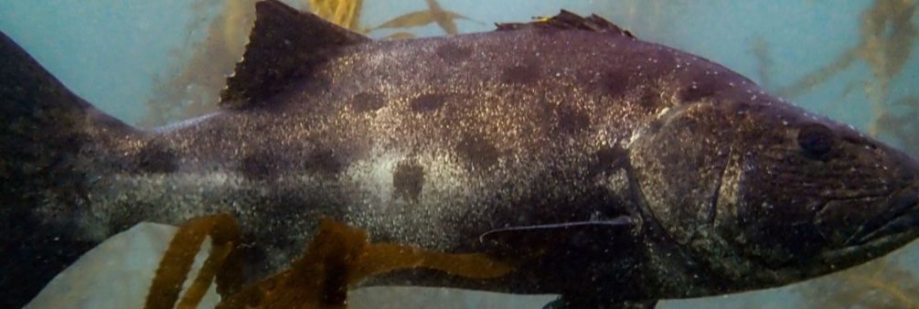 29ac72ed-8b49-4174-8c7f-8d8cd267cbec