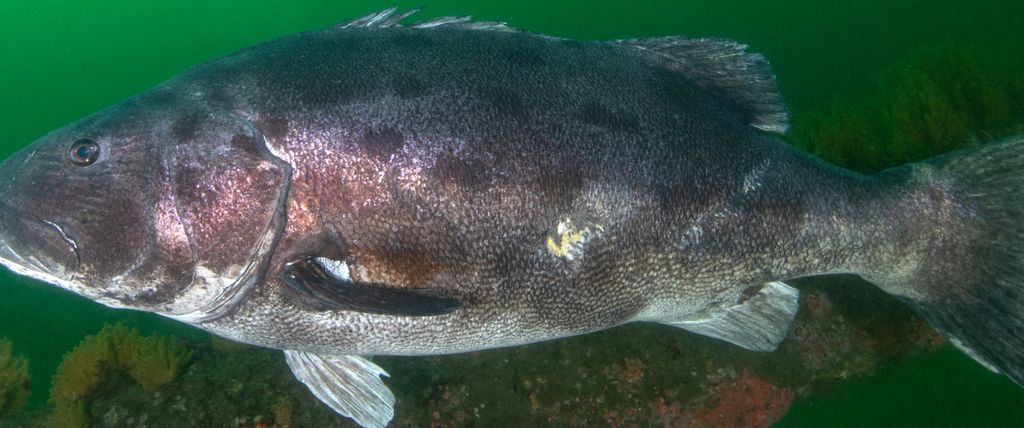 dd73f8b0-9d4e-4037-9be7-b5b8a7eae61b