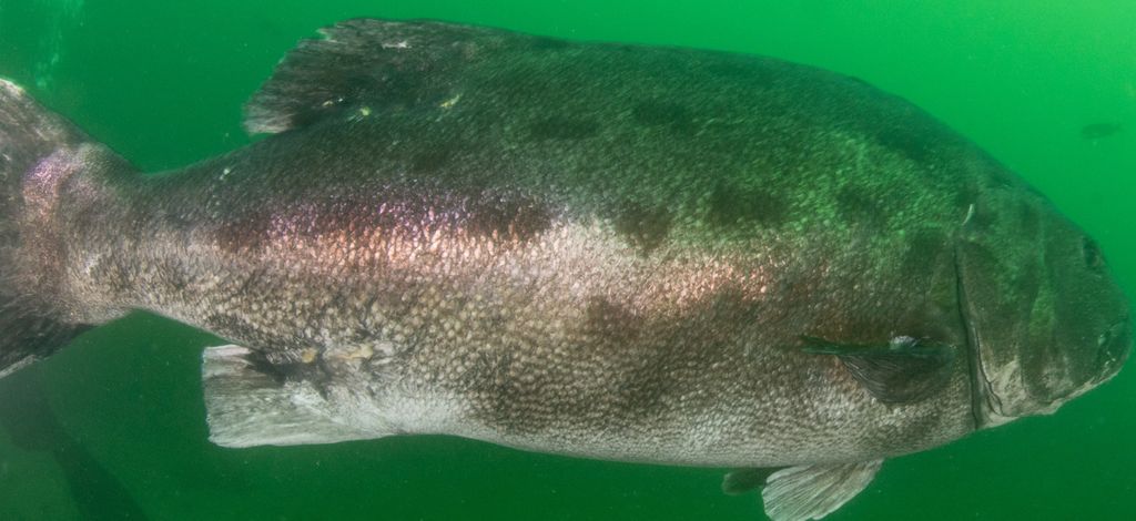 dd73f8b0-9d4e-4037-9be7-b5b8a7eae61b