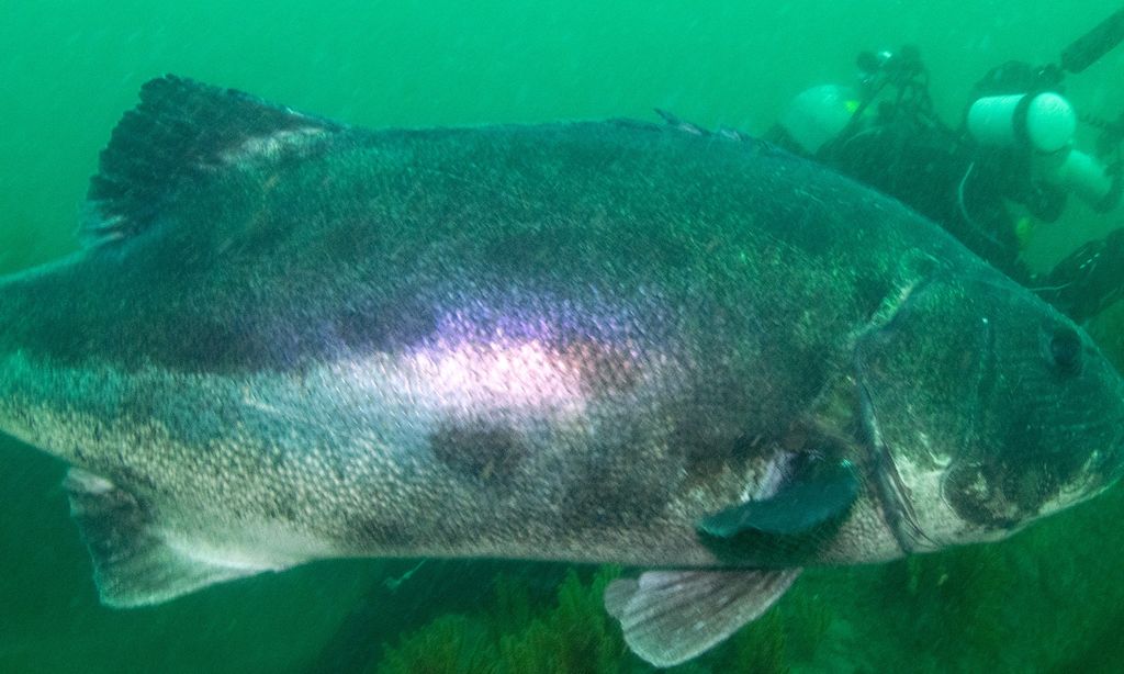 226506ed-8d73-4d8c-b988-a83c2794f0fc