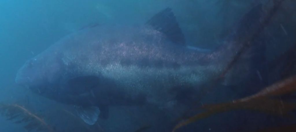 e2bb8a65-1710-4846-8f79-4b4ae43c43f7