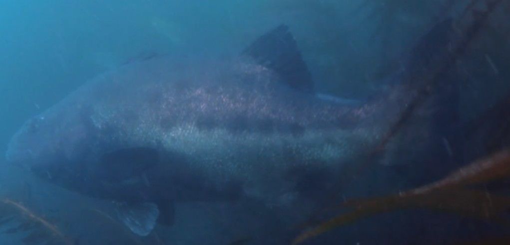 e2bb8a65-1710-4846-8f79-4b4ae43c43f7