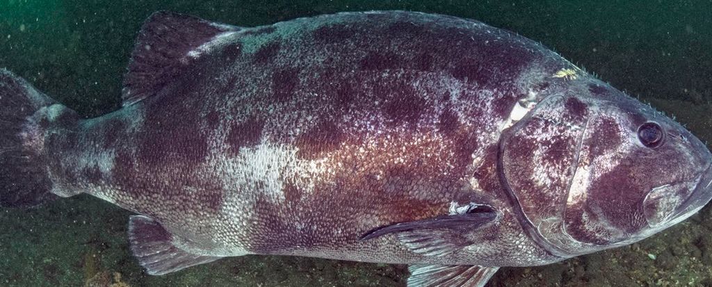 d7f9d87d-4d91-43af-97af-2b4abc87ff24