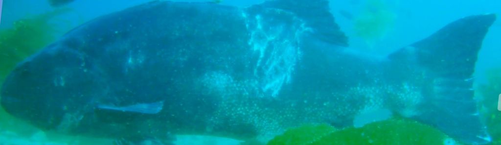 935df66d-db91-4c05-9c72-10a98c0a7a65