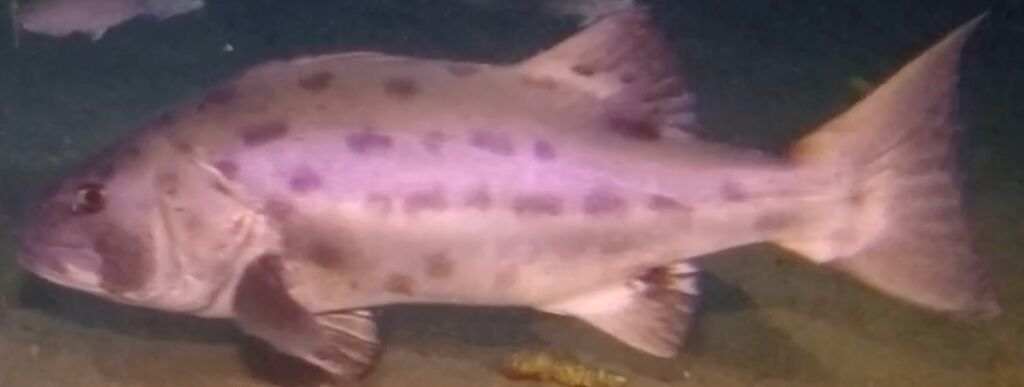 149c9c66-f168-4714-852b-00060badd2ea