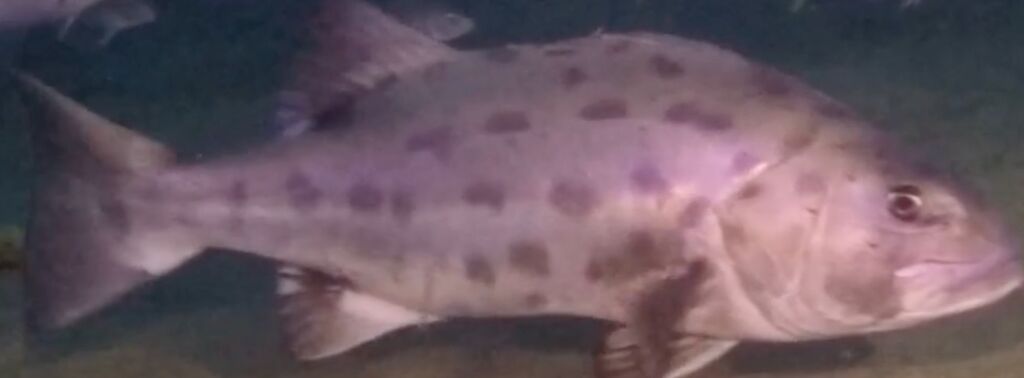 149c9c66-f168-4714-852b-00060badd2ea