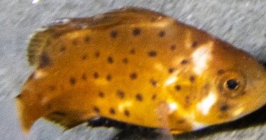 a727b322-7ee0-4242-ab02-d57cdff94572