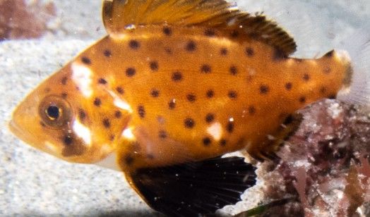 a727b322-7ee0-4242-ab02-d57cdff94572