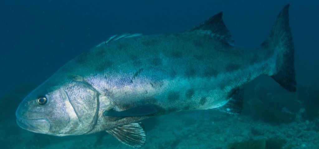 f879164a-5451-4b19-b404-3dc298c0a041