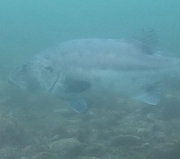 2f3d090c-9f5a-4873-a3c4-dbf6d139cb41