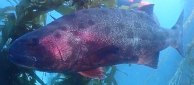 a3fbcfe8-f69a-4aef-b3cf-a05251a27fd8