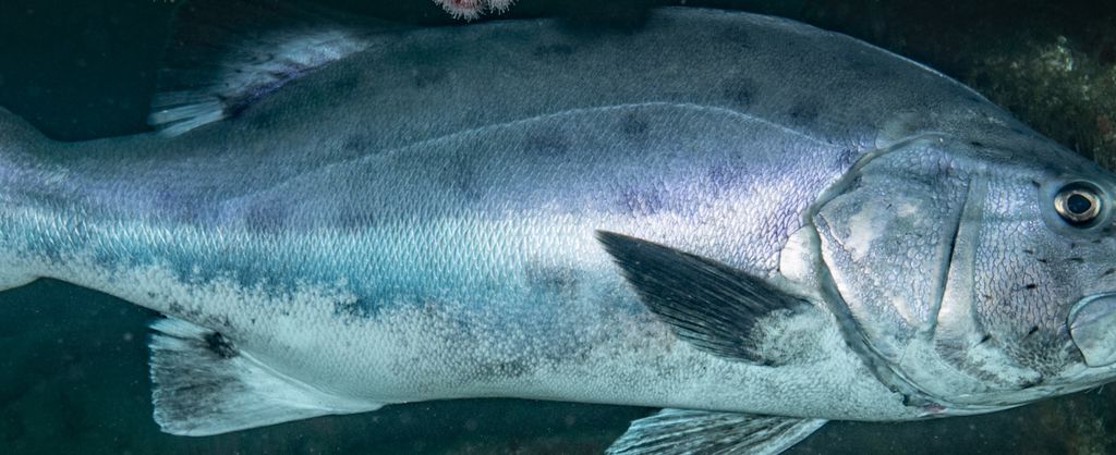 2b53792f-8f96-41a2-9e63-ba5670ace4bd