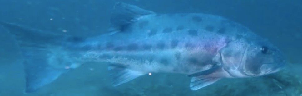 0b4546b8-9ef1-47a5-bb35-48cea1c2899e