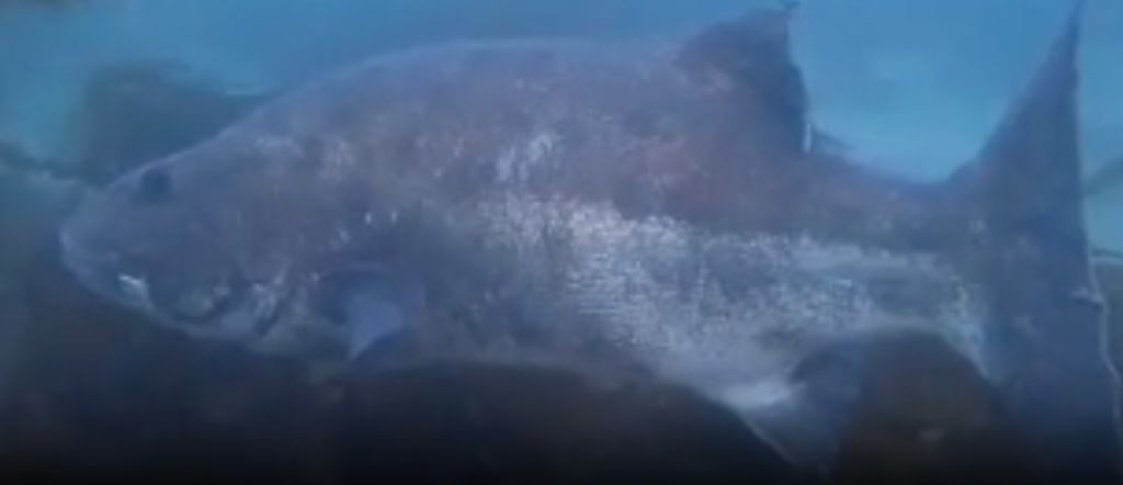 e715aed8-fd0f-43be-ae41-e3e08a336ef0