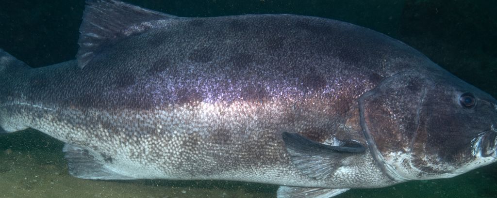 2ef970ea-d8e3-44ed-896c-67530d009589