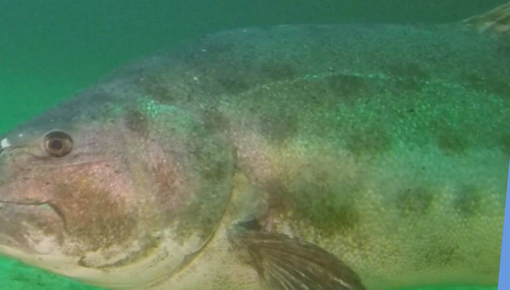 1b5dee8b-ef0d-4337-98af-6dc5ce751bc1