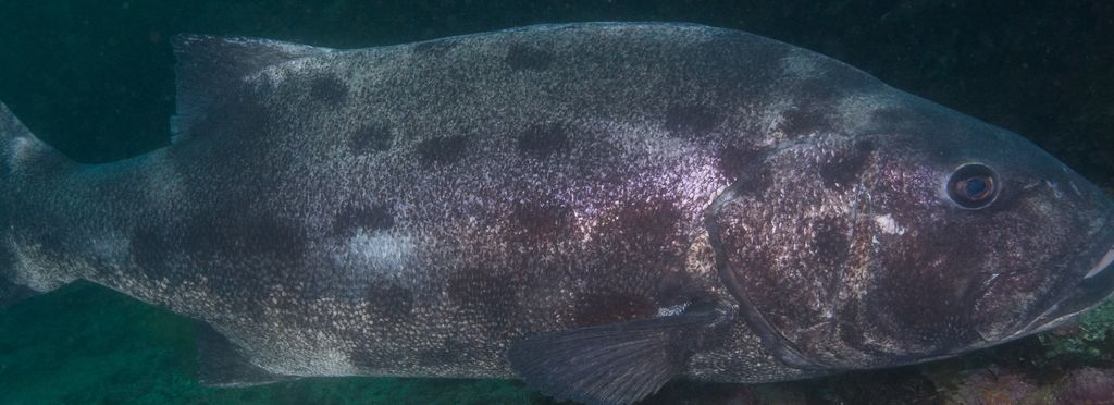 ff926d7d-d08b-40d5-9512-cf6753d0af88