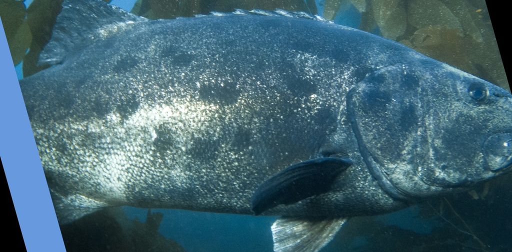 bbb9137f-efb3-4501-935c-8b699524b574