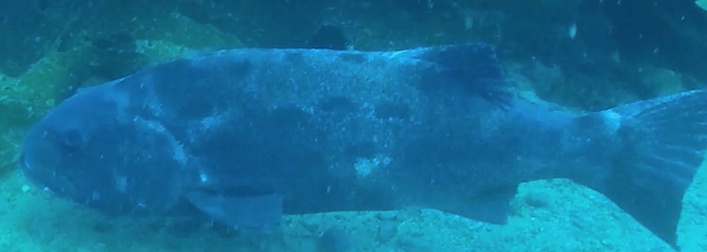 47b2d3f9-7eb8-4f8d-ba88-b6a78fbe2190