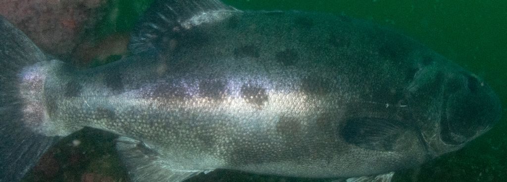 e96d9f29-6ad5-4075-a8f2-b6d2e1c4c90c