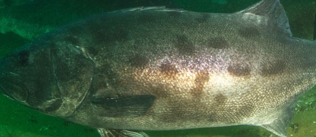 d1576d4d-fee5-4173-9cd0-b1b1729e896d