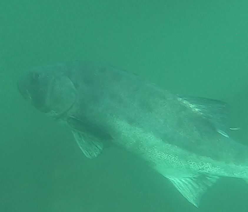 8ecc93d2-df1d-4676-9e4c-879ec550ead9