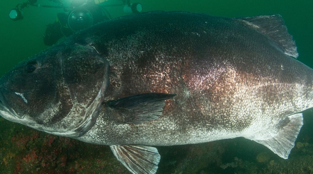 59e52079-4ca1-4295-b504-af6b07def97a