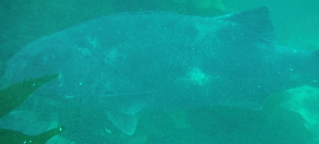 14912beb-2a17-4f87-bde6-bfd51f44d604