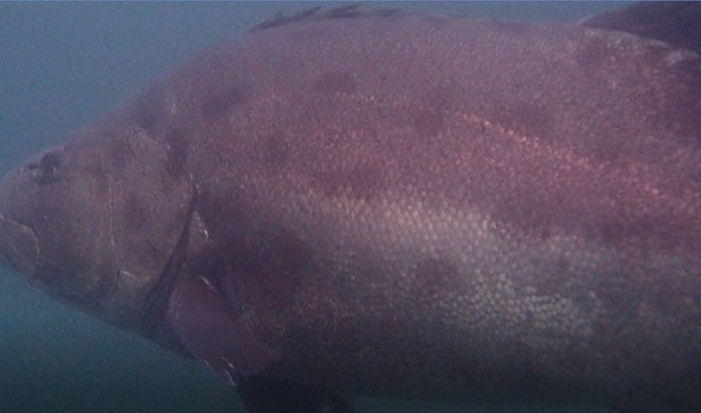 86bf53df-f269-4749-9e2a-a1455181bec5