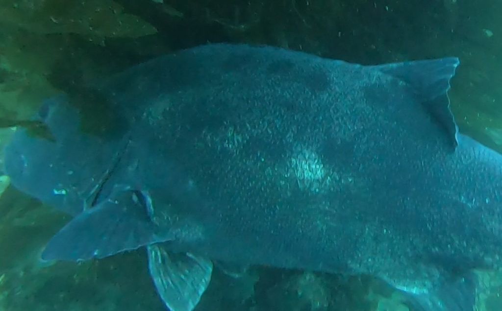 506fa7cf-a9cd-4808-910c-9ff836b4cd43