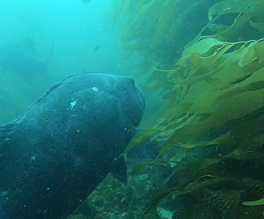 506fa7cf-a9cd-4808-910c-9ff836b4cd43