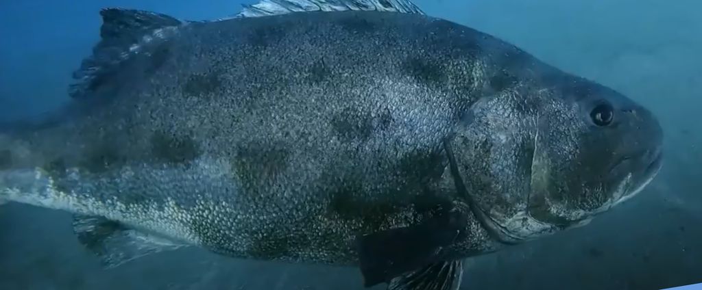 1b849902-e30e-45e3-a372-e7b1323de597