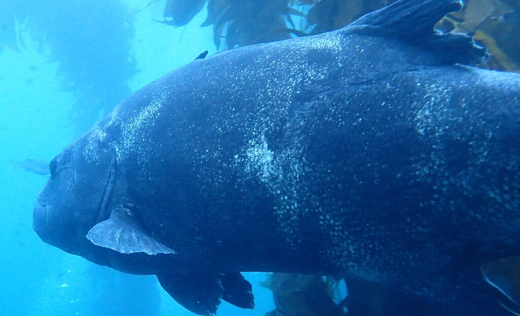 440b160b-d1a2-493a-9998-872383a72567