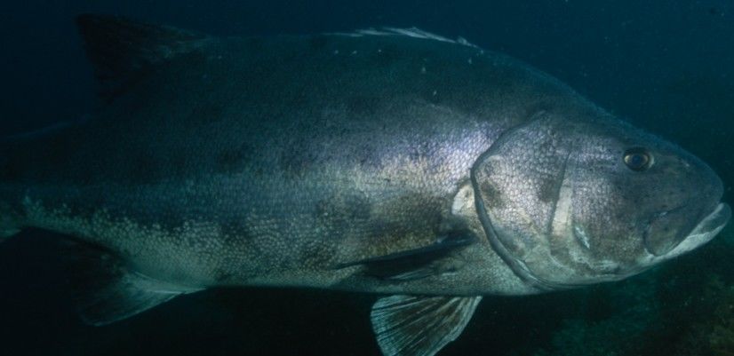 ca424c22-d333-46f2-ab0d-4baaeeb95266