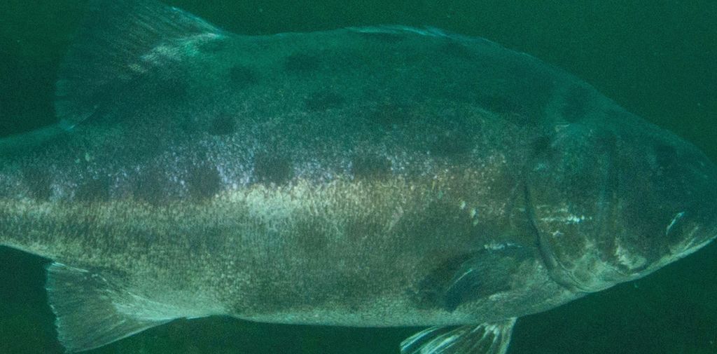 d5898b7b-32c9-45cc-9a3c-35ae469ea2b9