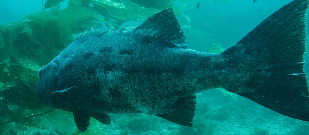 5c2eb24f-7cb0-47cf-816f-c62fbfd86c45