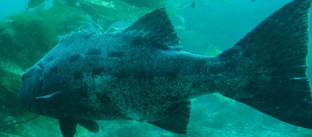 5c2eb24f-7cb0-47cf-816f-c62fbfd86c45