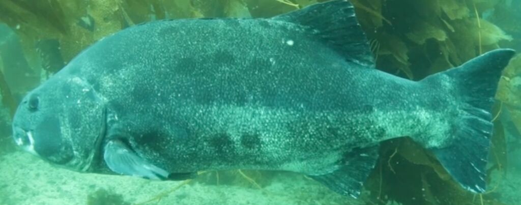 9447d923-9a09-4a7e-b511-f3caa411c47f