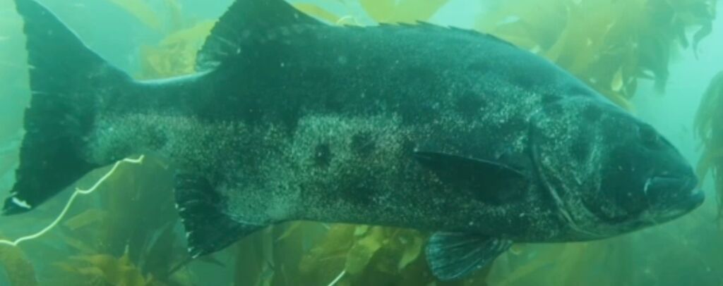 9447d923-9a09-4a7e-b511-f3caa411c47f