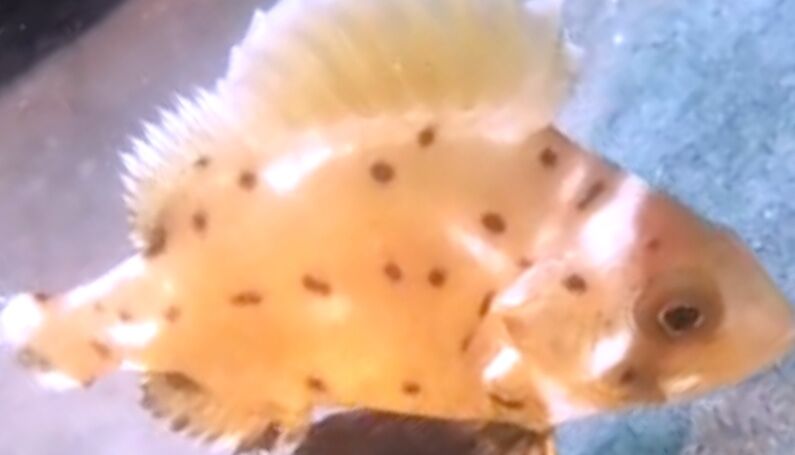 4497f18e-a0aa-47fc-8b89-8ed20bd15498