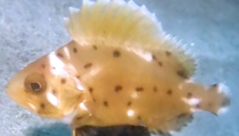 4497f18e-a0aa-47fc-8b89-8ed20bd15498