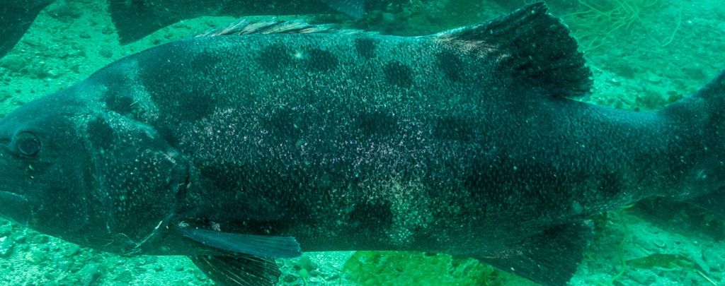 0b5ff417-4fa2-47c4-9732-91685106963d