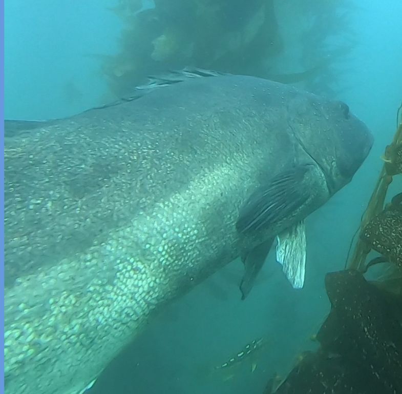 44649bef-3c8a-447b-908b-b9ec9ecbc441