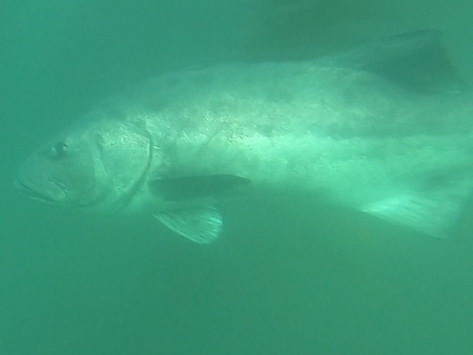 44649bef-3c8a-447b-908b-b9ec9ecbc441